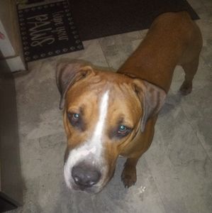 Meet your Posher, Curtis